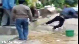 Funny Cow Goes Crazy Attack