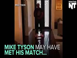 Mike Tyson hilariously wiped out while trying to ride a new hoverboard