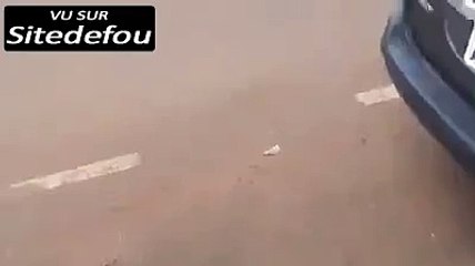 Au Brésil on a trouvé un nouveau moyen de transport