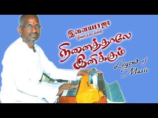 Ilayaraja hit songs HD Naanarintha pattu