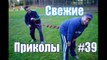 СВЕЖИЕ ПРИКОЛЫ 2015! РУССКИЕ ПРИКОЛЫ, НАРЕЗКА ПРИКОЛОВ | Выпуск 48