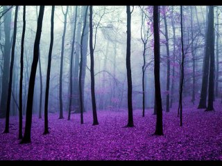 bhool gaya saab kuchh... Julie ( Kishore da and Lata ji's )