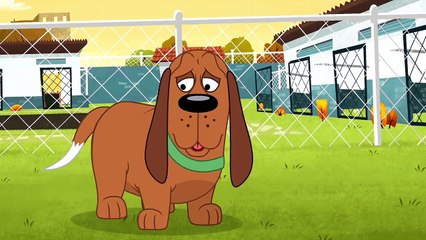 Pound Puppies - Never Leave a Dog Behind