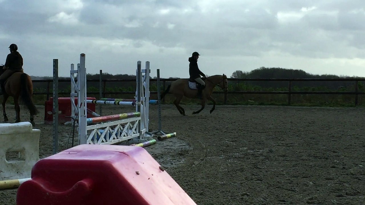 JUMENT ISABELLE ONC POUR LOISIRS