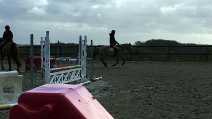 JUMENT ISABELLE ONC POUR LOISIRS