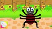 Incy Wincy Spider (Itsy Bitsy Spider) Nursery Rhyme | Kids Animation Rhymes Songs