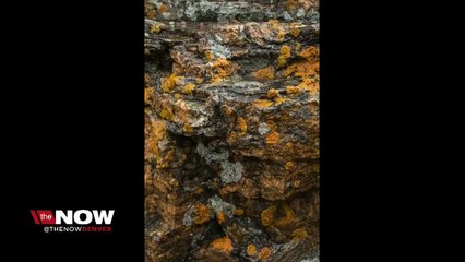 A year in review- 2016 at Rocky Mountain National Park