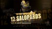 12 SALOPARDS 2016 - Alé planté bannann (12 salopards 2016 /2017)