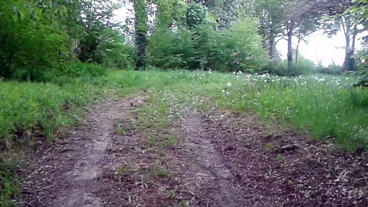 Verger de St Aubin Château Neuf le 8 Mai 2015 (01)