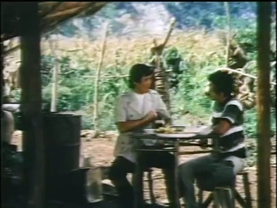 Spirits of Bruce Lee