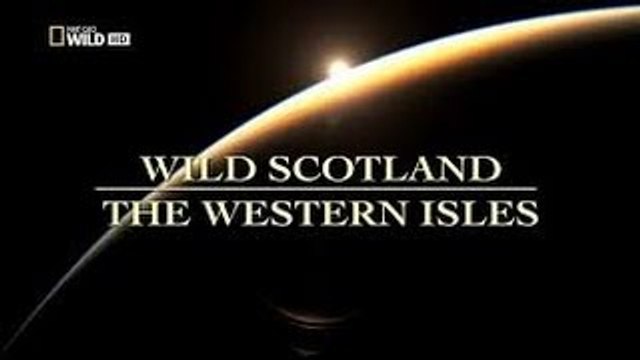 Wild discovery animals channel Scotland The Western Isles Nat Geo WILD Wildlife documentar