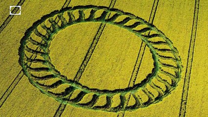 What are crop circles? | CLASSIC | @ConspiracyStuff