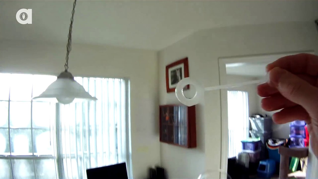 Catnip Bubbles!