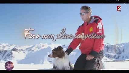 [170 ans de la SPA] Les plus belles histoires : n°1 "Faro, mon sauveteur"