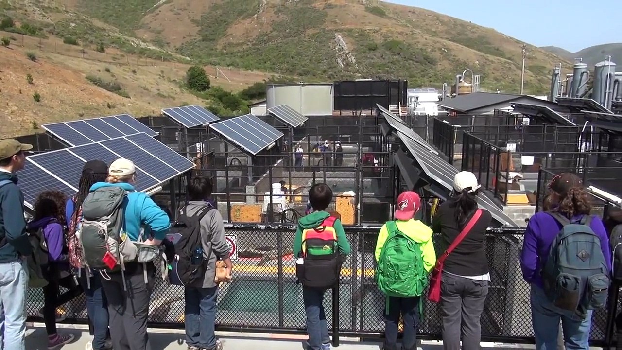 Houston Zoo Staff Work with Sea Lions in California