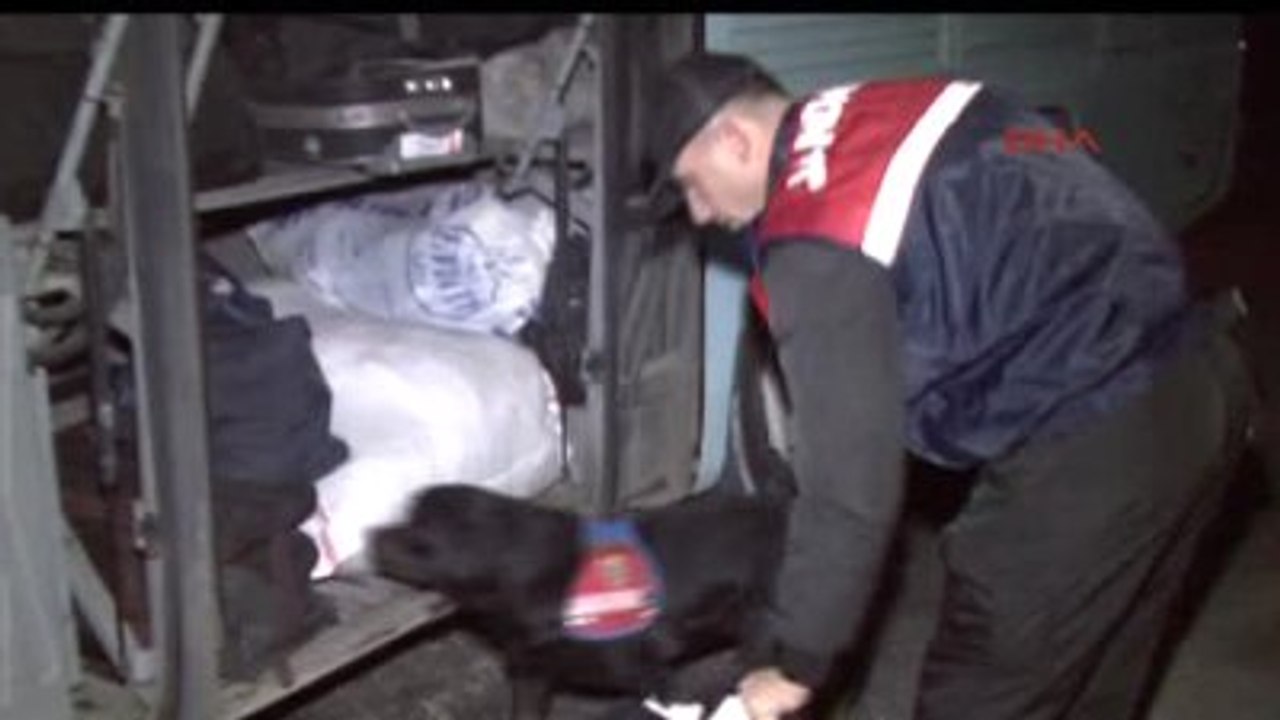 Aksaray - Yolcu Otobüsünün Bagajında 7 Bin Paket Kaçak Sigara Ele Geçirildi