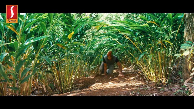 Mouna Ragam [1986] - Tamil Movie in Part - 14 / 16 - Mohan, Revathi, Karthik