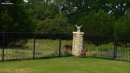 Certains en ont rêvé, lui l a fait  Un papier commandé par téléphone