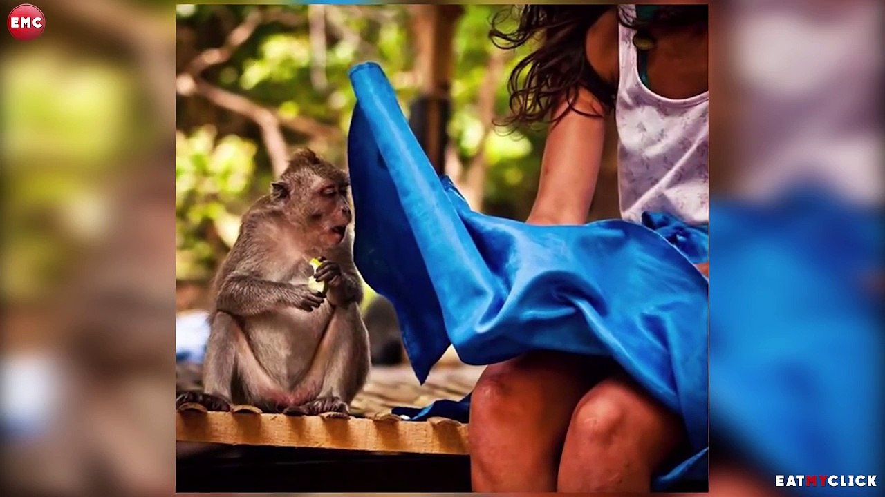 50 photos prise au meilleur moment- compil fun