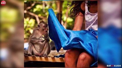 50 photos prise au meilleur moment- compil fun