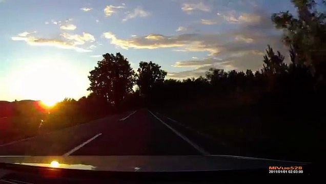 ДТП на дороге Лунтик, Микки Маус, Спанч Боб, Белка избили водителя