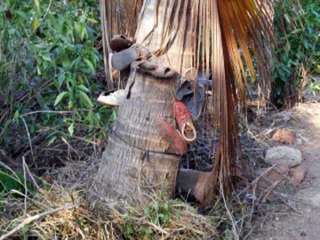 05  musicians of rajasthan   kaman song[1]