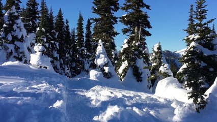 OUR SNOWSHOEING ADVENTURE AT HURRICANE RIDGE