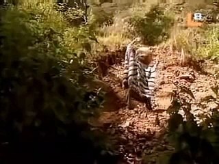 Telenovela Esmeralda cap 97 completo