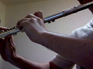 Crescent moon (by Ayaka) flute cover / 三日月（絢香）フルートカバー