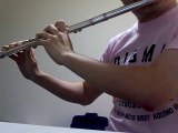 Thread (by Nakashima Miyuki) flute cover / 糸（中島みゆき）フルートカバー