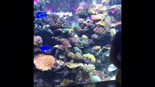 Page 2 of 366: SEA Aquarium