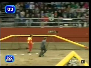 The fastest dog in the universe - liste de lionel nivelle