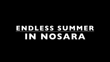 Endless summer Nosara