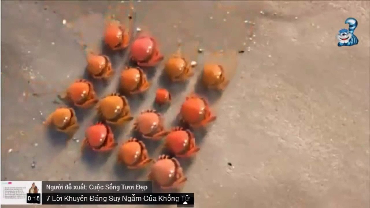 Top 5 Clip Quảng cáo hài hước nhất thế giới