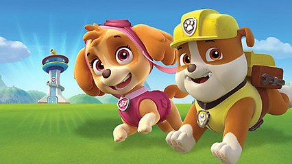 Paw Patrol Espanol Games Birthday Christmas 2015, Paw Patrol Episodes Eggs Cake Names Full #1
