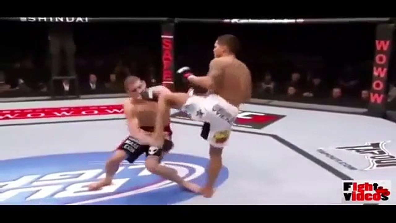 UFC ULTIMATE - Best Knockout 2015 Highlight - MMA Best Knockout