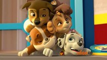 Paw Patrol Academy Game - Paw Patrol Cartoon Nick JR English - Paw Patrol full Episodes #2