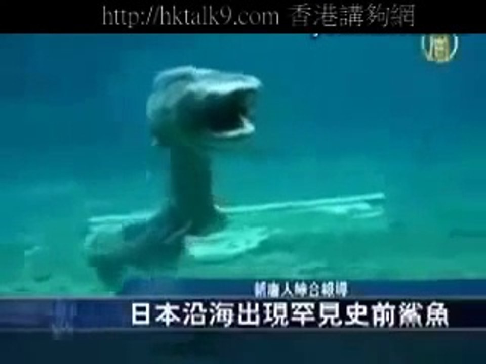 日本地震後發現2億年前鯊魚恐怖 .wmv -