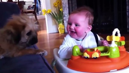 Funny Babies-Synthesis of funny clips on baby