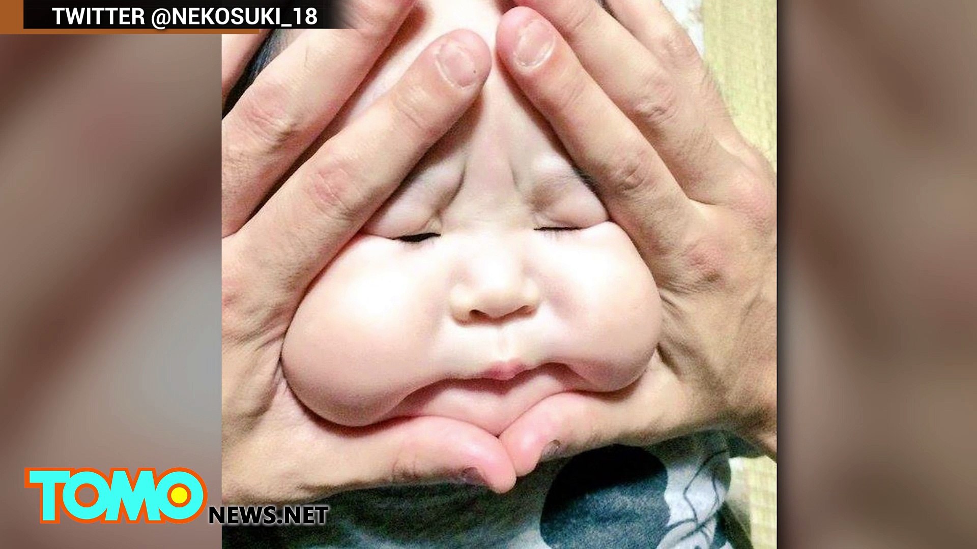 Japan's latest internet meme craze: #RiceBallBabies