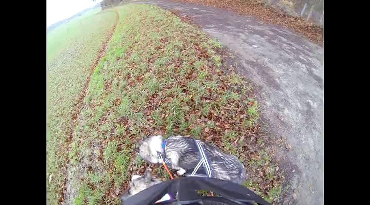 Training für Pullman