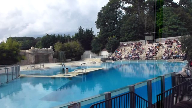 Zoo de Beauval - Vol de rapaces