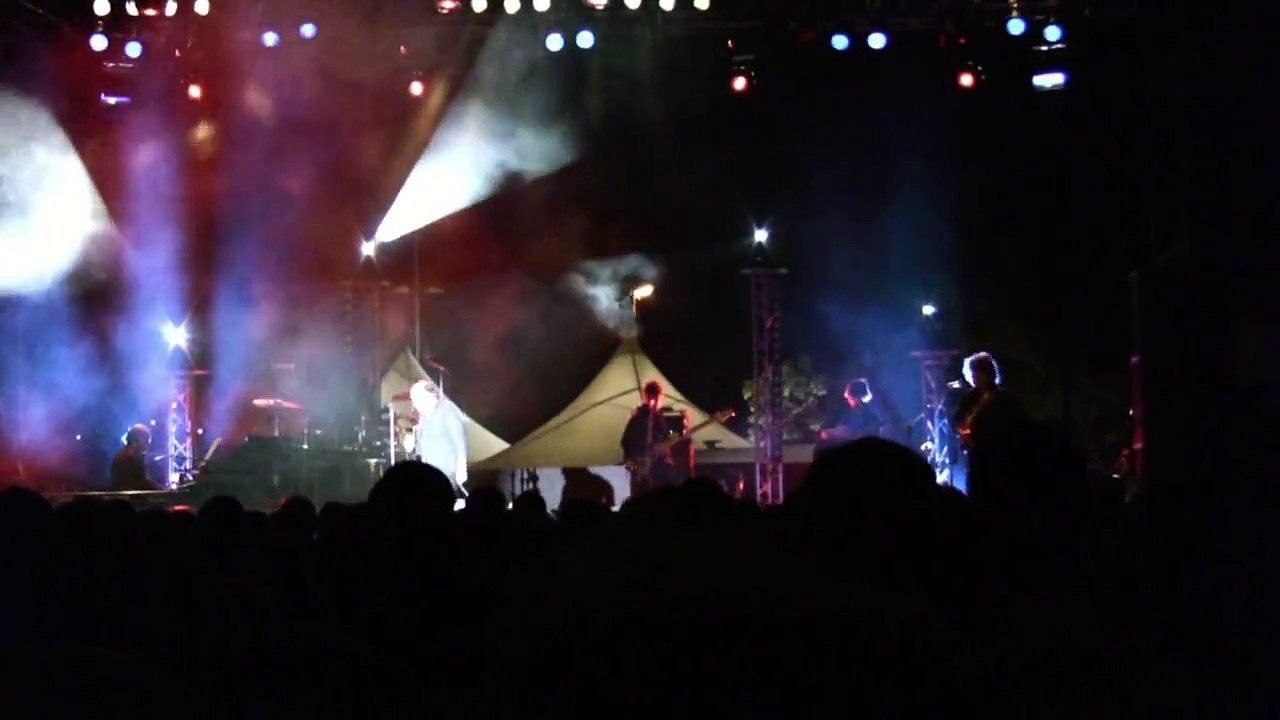 HOMMAGE - Michel Delpech en concert à la Seyne, le 13 août 2008 (extraits)