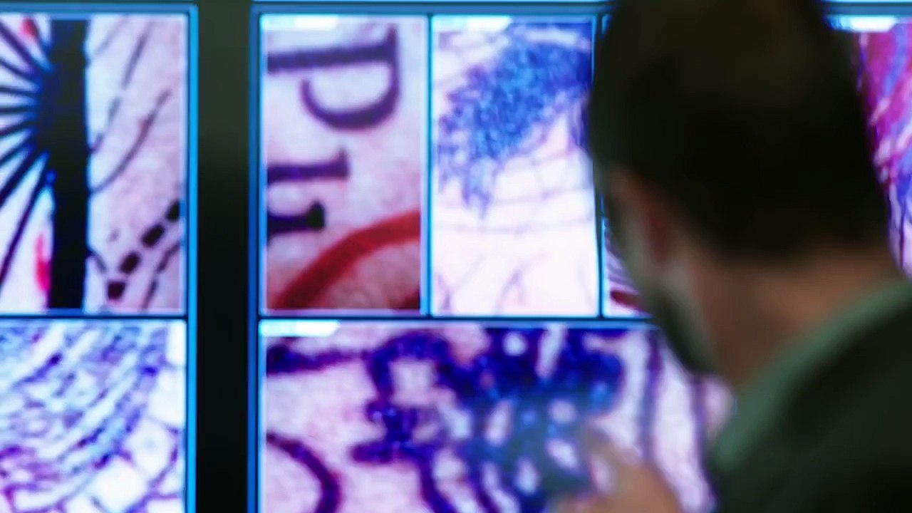 Blindspot - Body of Clues (Preview)