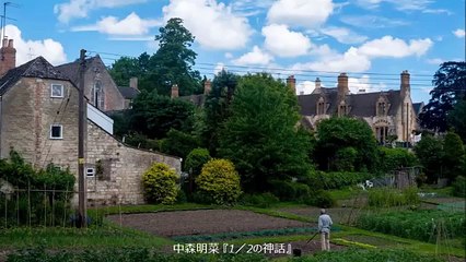 中森明菜　1/2の神話