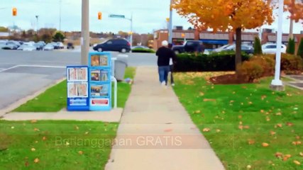 Lucu Akibat Video 3D dan Gambar 3D