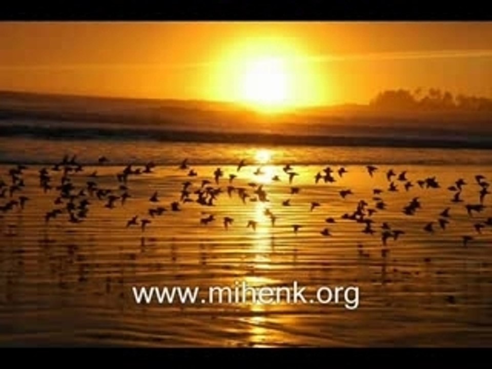 Mustafa Özcan Güneşdoğdu - Cürmüm İle Geldim Sana