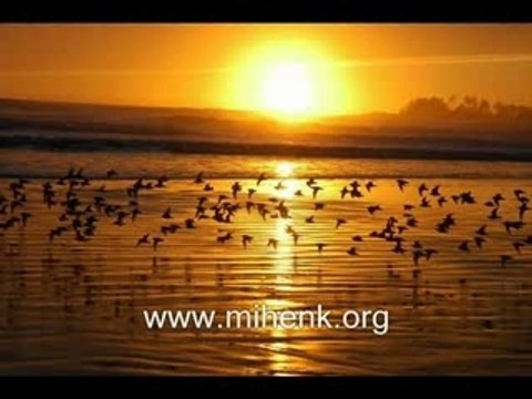 Mustafa Özcan Güneşdoğdu - Cürmüm İle Geldim Sana