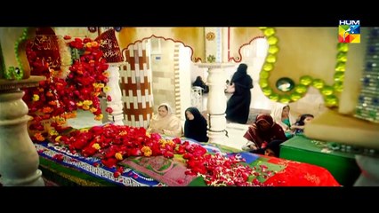 Mere Meherban OST HUM TV Drama