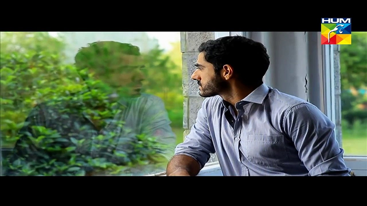 Mohabbat Subh Ka Sitaara Hai OST HUM TV Drama